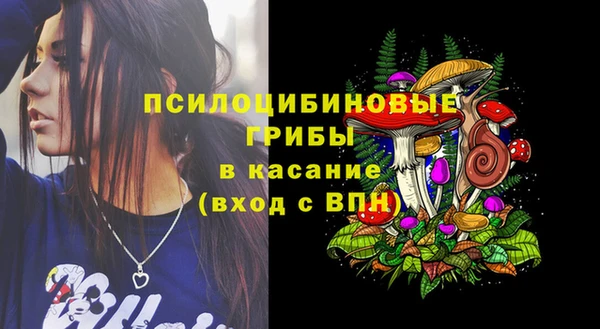 apvp Остров