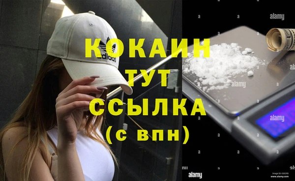 apvp Остров